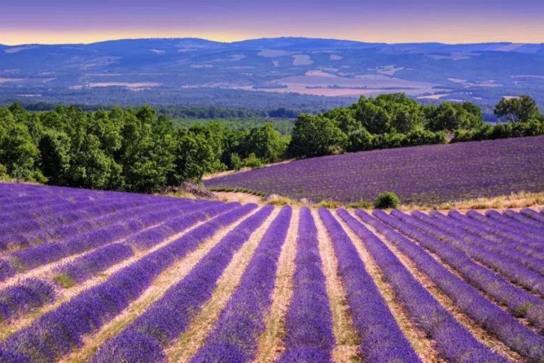 La Petite Maison Céreste Dış mekan fotoğraf