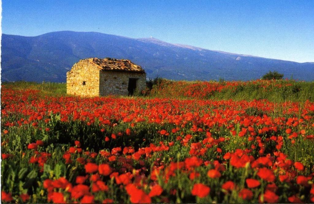 La Petite Maison Céreste Dış mekan fotoğraf